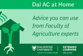 The Dalhousie Agricultural Campus in Bible Hill has created a video series on many topics. The educational and free content is available to anyone in the local community who wouldn't normally have access to such services.