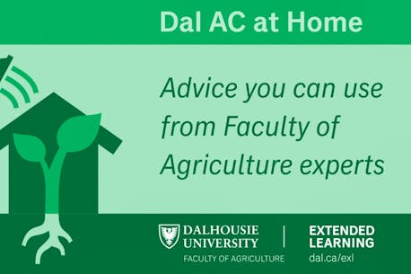 Dal AC at Home: Faculty of Agriculture expertise available to Bible Hill, Truro and area