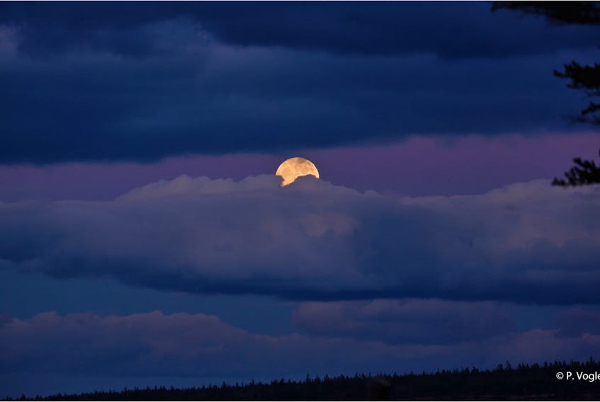 Phil Vogler sent us this picture of Sunday night's stunning full moon slipping through the clouds at sunset in Morden, N.S. This looks like a book cover for a mystery novel in the making. Thank you, Phil.