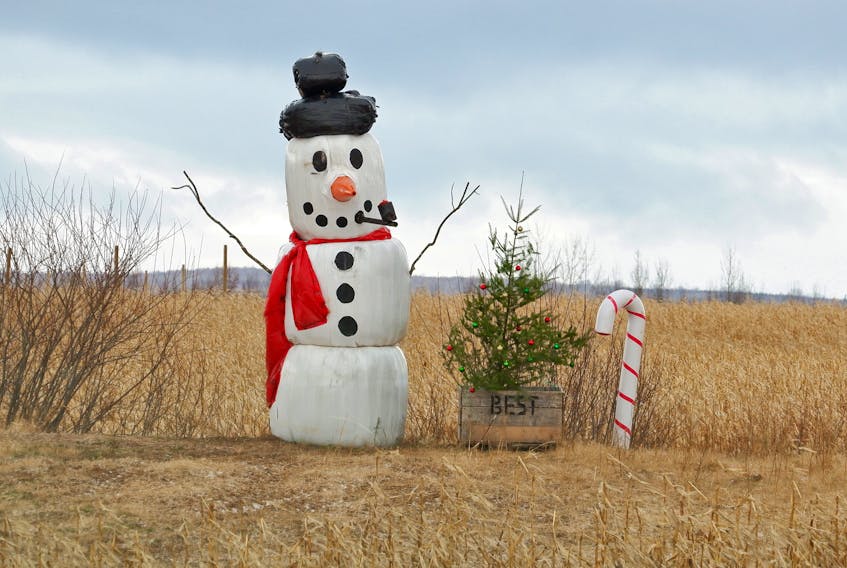He's back and he has drivers smiling.  Phil Vogler snapped this great photo and says if you want to see Frosty for yourself, head down Highway 101 and keep an eye out for the bright red scarf between Berwick and Coldbrook.  We thank Best Farms in Grafton Nova Scotia for this seasonal treat!
