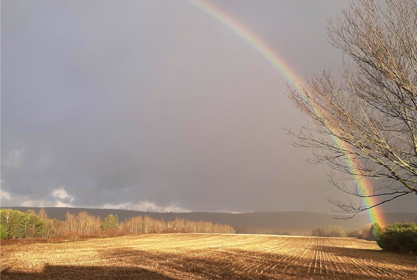 Wendy Robinson captured this lovely rainbow over Lakeville, N.S. on Thursday morning (Nov. 3). I just love how the sun hits the grass to give us this beautiful field of gold. Thank you for sharing, Wendy.