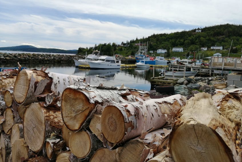 The firewood is neatly stacked; the clouds grow heavy on an overcast afternoon in Dildo, N.L.  There was not a ripple on the water when Gary Mitchell snapped this seasonal photo.  On a day like this one, the low cloud and high humidity would carry the sound of a whistle clear across the harbour.
