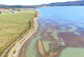 The federal and provincial governments have announced close to $50 million in funding to upgrade 60 kilometres of dikes and five aboiteaux within the Bay of Fundy dike system. In Cumberland County the project will address rising levels and the impact on aboiteaux and dikes in Nappan and Amherst Point as well as in Advocate.