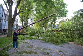A neighbourhood residents takes a photo of some of the damage on Kline Street in Halifax on Sunday morning, Sept. 8, 2019 after high winds blew through from hurricane Dorian.