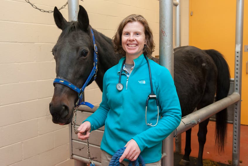 Dr. Martha Mellish will use a practical model to explain the horse's gastrointestinal tract functions and the common medical problems that can affect it.