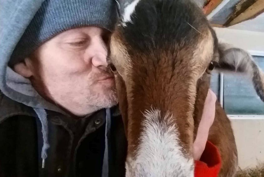 Bill Steele, the owner of the Dorchester jail which he has converted into a bed and breakfast, refuses to give up his three goats, which has prompted the village to take legal action against him.