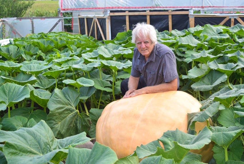Linacy pumpkin-grower Tom Dudka and the pumpkin he named “Trump.”