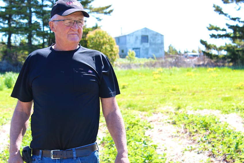 Bras d’Or area farmer, Eddie Rendell, believes that over 30 per cent of his strawberry blossoms were damaged by last weekend’s heavy frost. Rendell, 72, maintains about 13-hectares of strawberries which he sells to grocery stores and through an annual summer U-Pick.