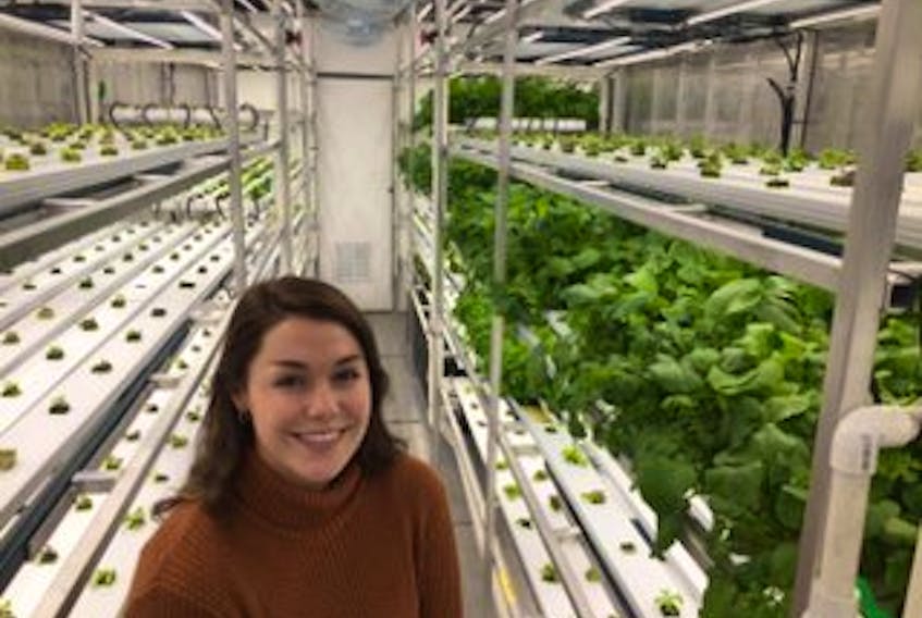 Acadia University student Emma Kaye stands inside a hydroponic operation at the university that is growing greens and micro greens to supplement the supplies for the university's food service provider.