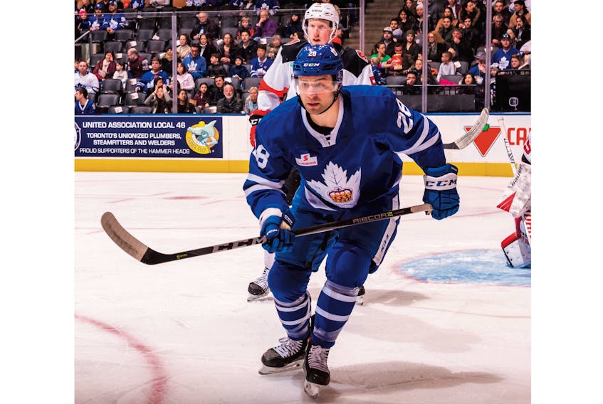 Giorgio Estephan is the co-scoring leader for the Newfoundland Growlers, but recently has been a fixture in the lineup of the AHL's Toronto Marlies, whose roster includes seven players who were regular fixtures in the Growlers' lineup during the 2019-20 ECHL season. — Toronto Marlies photo