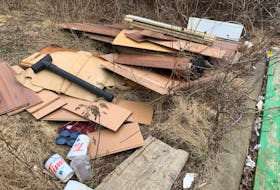 Construction waste along the road at the end of Yorkshire Avenue Extension in Dartmouth Tuesday. (For city council story on illegal dump sites).