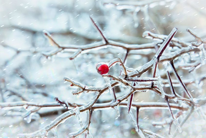 Environment Canada has issued a special weather statement warning that a period of freezing rain is possible across the province beginning Tuesday morning. 123RF/SUBMITTED PHOTO