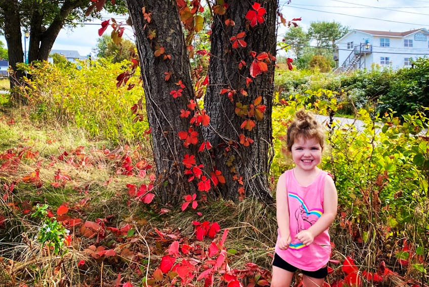I can't get over how cute this photo is. Kassandra Reichel took this shot of her daughter, Sophia, in Inverness, Cape Breton. The tree looks ready for fall but the bold red of the leaves could never outdo that adorable smile. Thank you, Kassandra and Sophia.