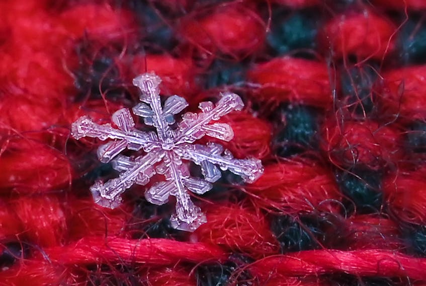 Do you recognize the tartan?  Or are you too focused on the intricate detail in this macro photo of a snowflake?  Mary Hankey from Lexington, Inverness County, N.S. says: "trying to capture photos of snowflakes is challenging even with light winds, but so worth the effort. This was taken using the tartan scarf as a backdrop. What looks like two longer wool fibres at the bottom of the snowflake are hem stitches that are just 0.40cm (0.157 inches) each." 

Stunning, Mary, thank you!  By the way, it's the Royal Stewart Tartan.