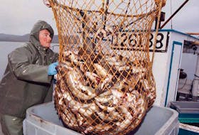 Fishermen took to the waters off southern Newfoundland in May 1997 in the first commercial cod fishery since stocks collapsed. Leaders from Canadian and international fisheries organizations are gathering in Halifax this week as part of the G7 Ministerial Meetings.