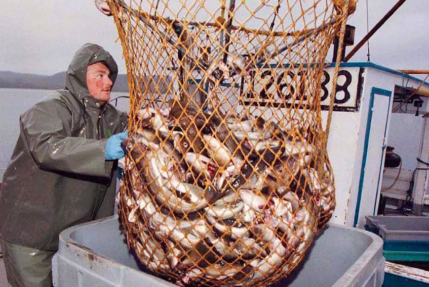 Fishermen took to the waters off southern Newfoundland in May 1997 in the first commercial cod fishery since stocks collapsed. Leaders from Canadian and international fisheries organizations are gathering in Halifax this week as part of the G7 Ministerial Meetings.