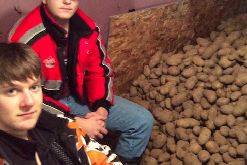 Jordan (left) and Alex O'Gorman are shown in the cellar with some of the 6,000 pounds of potatoes the two teenagers harvested last summer.