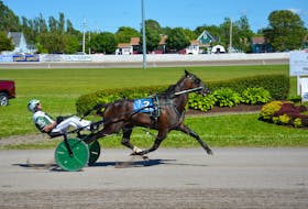 Marc Campbell will drive Rose Run Quest in the top pace at Red Shores Racetrack and Casino at the Charlottetown Driving Park on Saturday evening.
