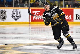 SYDNEY — A former Cape Breton Eagle defenceman will start the 2020-21 season in his home country of Germany. The Winnipeg Jets loaned Leon Gawanke to Eisbären Berlin of the Deutsche Eishockey Liga earlier this week. Under the agreement, Gawanke will rejoin the Jets’ organization when the 2020-21 season begins in North America. The season is expected to open in December. The 21-year-old Gawanke appeared in 48 games with the Manitoba Moose in his first professional season last year, recording four goals and 26 points along with 21 penalty minutes and a minus-5 rating. 
The German played three seasons with the Eagles, recording 29 goals and 121 points in 178 career games.