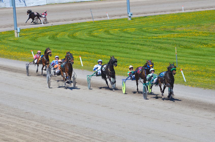 Red Shores at Summerside Raceway will host a 10-dash harness racing on Sunday afternoon.