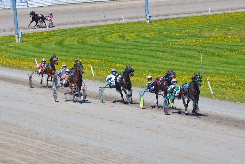Red Shores at Summerside Raceway will host a 10-dash harness racing on Sunday afternoon.