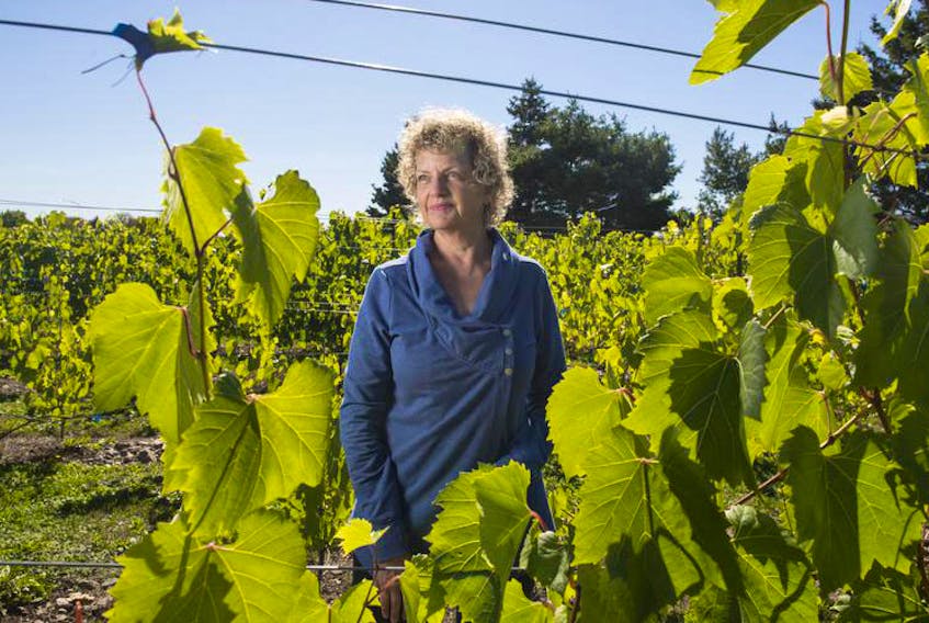 Jill Linquist poses for a photo in her vineyard in North River on Monday afternoon. The Goose Landing Vineyard lost most of its grapes to starlings and frost.