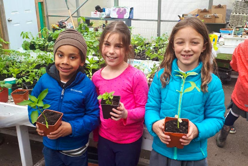 Adam Thomas, Allie Lovell, and Sophie Tucker enjoyed some time in the greenhouse transplanting items in preparation for the Spring Fling Market & Expo.
