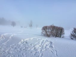 Advection fog enveloped Prince Edward Island as a warm front pulled milder air over the snow-covered landscape. - Rodney Hickey.