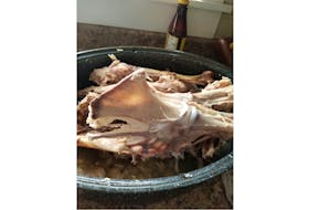 This is what Shelly DeViller’s turkey breastbone looked like last Thanksgiving. Grandma Says – winter would not be severe. Shelly lives in North River, N.S., and by all accounts, enjoyed a fairly easy winter. What did your turkey tell you this year?