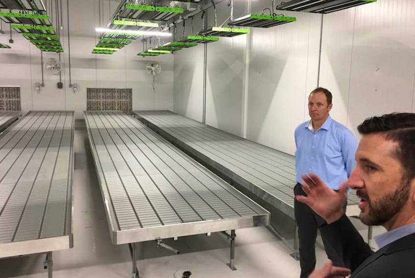 James Lowe, executive vice-president of operations for GrowForce, right, explains the company's cannabis cultivation process at the company's new facility in Lower Sackville with Tim Nolan, the facility's manager of operations.