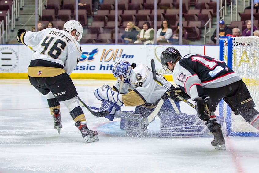 Newfoundland Growlers goalie Eamonn McAdam makes one of his 29 saves as Brandon Marino (13) of the Brampton Beast looks for a rebound during ECHL play Tuesday night at Mile One Centre. Also in the play is Growlers' defenceman Anthony Cortese.