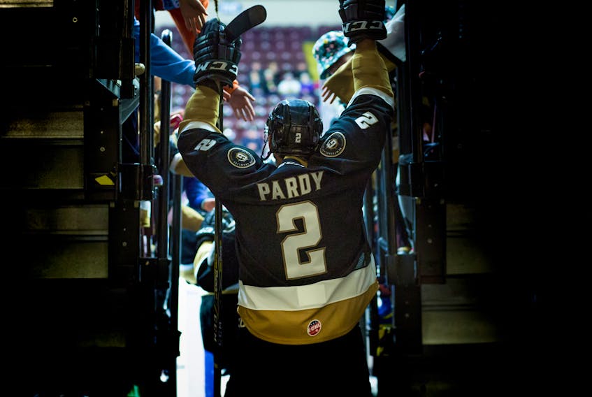 After 350 National Hockey League games over nine years, Adam Pardy closed out his playing career as a winner Tuesday night, winning the ECHL championship with the Newfoundland Growlers. - File photo