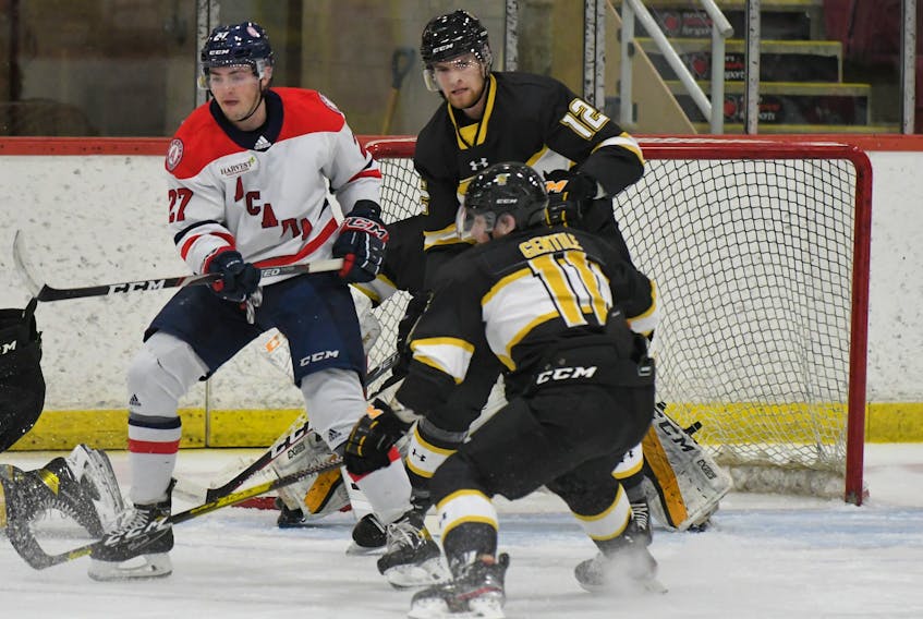 Acadia Axemen winger Tyler Hinam screens the Dalhousie goalie during an AUS exhibition hockey game last month in Wolfville. Cole Harbour's Hinam is in his first season at Acadia after a successful QMJHL career. - Peter Oleskevich / Acadia Athletics