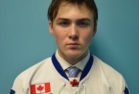 Lane Hinkley of Cheticamp was drafted with the No. 16 overall by pick the Acadie-Bathurst Titan during the 2020 QMJHL Entry Draft.