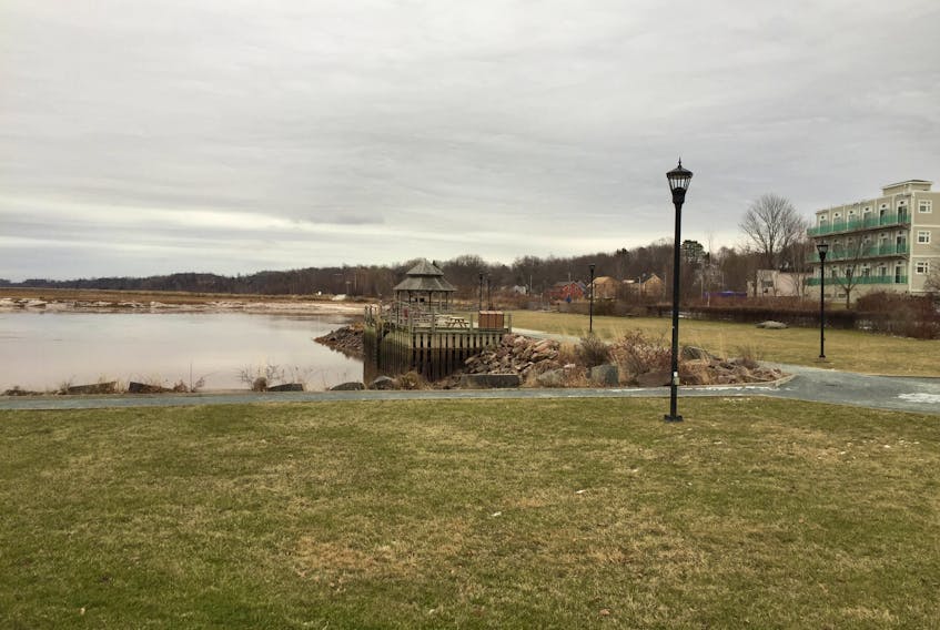 The town of Wolfville is looking for proposals for a flood risk mitigation plan to protect the area of the town around what used to be its busy harbour.