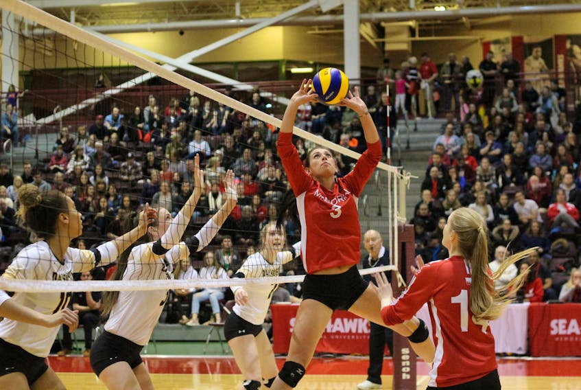 Alison Poynter (3) and the Memorial Sea-Hawks couldn't find a way past the top-ranked Dal Tigers in the AUS women's volleyball playoff tournament at the Field House in St. John's.