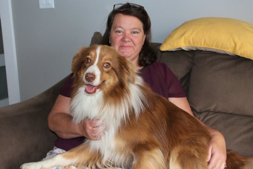 Angie Oliver is relieved to have Gus back home. The Australian shepherd was running loose in Colchester County for more than a week.