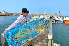 Carrying lobster traps down to the boats. TINA COMEAU PHOTO