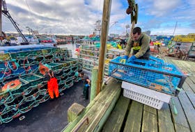 Lobster boats were loaded with traps and lobster traps were baited in southwestern NS on Nov. 28 in advance of the opening of the 2020-2021 commerical season. TINA COMEAU PHOTO
