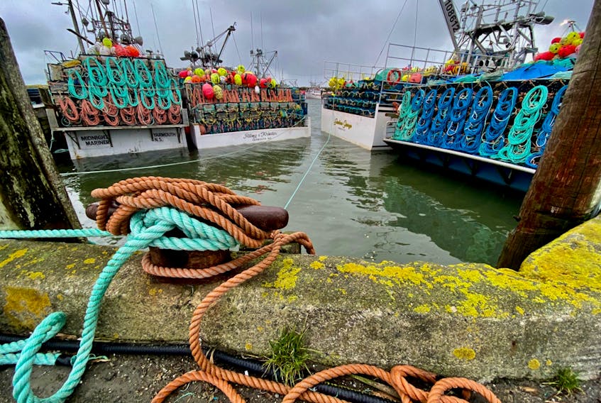 Lobster vessels tied to the wharf in Pinkney's Point, Yarmouth County, on Sunday, Dec. 6, as captains and crews continued to await word on when the season will get underway. Weather had postponed the start since it was cancelled on Nov. 30. TINA COMEAU PHOTO