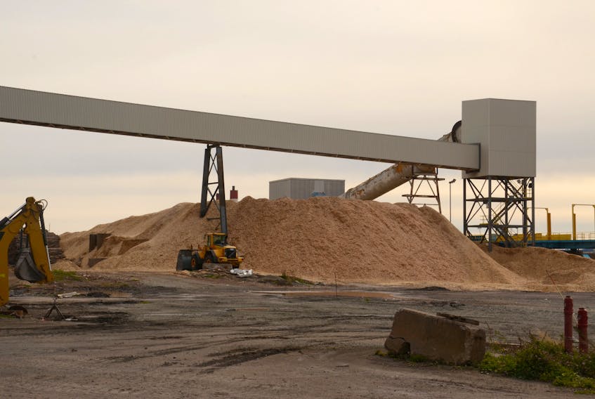 Chipped wood is piled up in preparation for being burned at Nova Scotia Power’s biomass burning power generating station at Point Tupper in 2013.