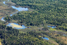 More land along the Isthmus of Chignecto is being protected by the Nature Conservancy of Canada.