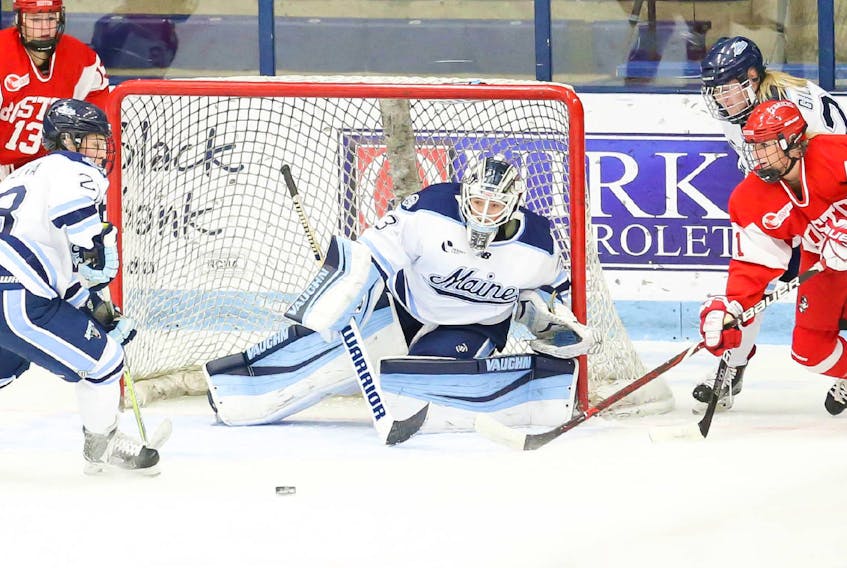 Carly Jackson in action with the University of Maine Black Bears in a win over the Boston University Terriers in Hockey East NCAA women’s hockey action. The 20-year-old Hastings native is in her third season at Maine – second as a full-time goalie with the Black Bears. (University of Maine photo)