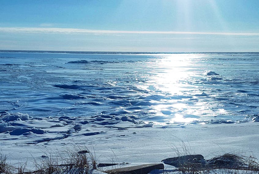 There's no place like home. April Cameron lives in Calgary but she grew up on Prince Edward Island.  She travelled home for the holidays and couldn't resist a wall along the icy shore at Mount Carmel, Wellington PEI.  She snapped this frozen beauty on New Year's Eve.