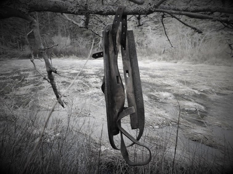 Robert MacDougall turns back time with this photo of old skates, shot in black and white.  Imagine the stories and the hours spent skating on this secluded pond in Donkin, N.S. With this week's colder weather, ponds and lakes are icing up. Remember, always check the thickness of the ice before you head out for a skate.