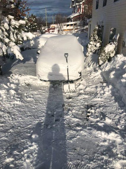 "You did say it would make things whiter..." 

 Conception Bay South or CBS is a lovely place - made even prettier by the snow.  I'm editorializing, of course – maybe too because I don't have to shovel it. 
 Ernie Weir, on the other hand, was shovelling on Friday, following a 35 cm snowfall.