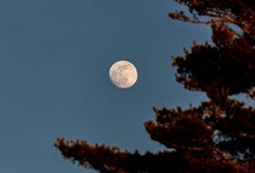 Last Tuesday, as the "almost" Full Wolf Moon rose over Chester, N.S., its bright light caught Barry Burgess' attention. There's no word on whether Barry heard the haunting howls of mid-winter wolves when he took this lovely photo.