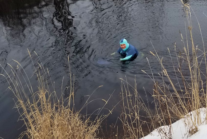 Meet Dianne Looker, a long time Women of Wolfville member who tries to swim every day in the canal in Gaspereau, N.S. 

I received this email from her on Wednesday: "Just thought you might like to know I may be hanging up my wetsuit…the current is getting stronger, and I'm not.  I went in today, January 27th, but I think this maybe it until spring.  Interestingly, there were some young skinny dippers in the canal (briefly) when I was in today. What some folks won't do!" 

Enjoy your well-deserved break, Dianne!