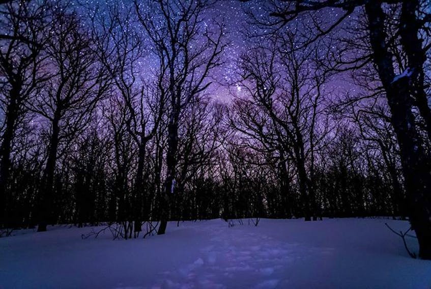 Is it ever too cold or too late for a hike? Barry Burgess set out on the Rogart Mountain trail behind Sugar Moon Farm near Tatamagouche, N.S. Wednesday night. It was -19, but somehow his fingers stayed nimble enough after the 6.2 km hike to snap this amazing photo of the night sky.