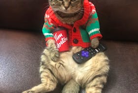 I couldn't resist: this photo came in during my call for Christmas pet pics. Meet Callie - she lives with Jessica Duplessis and 2-year-old Hunter in Dalhousie, New Brunswick.  Wouldn't this be a great photo for a caption contest?
